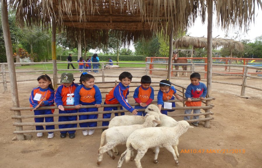 Niños visitando una granja